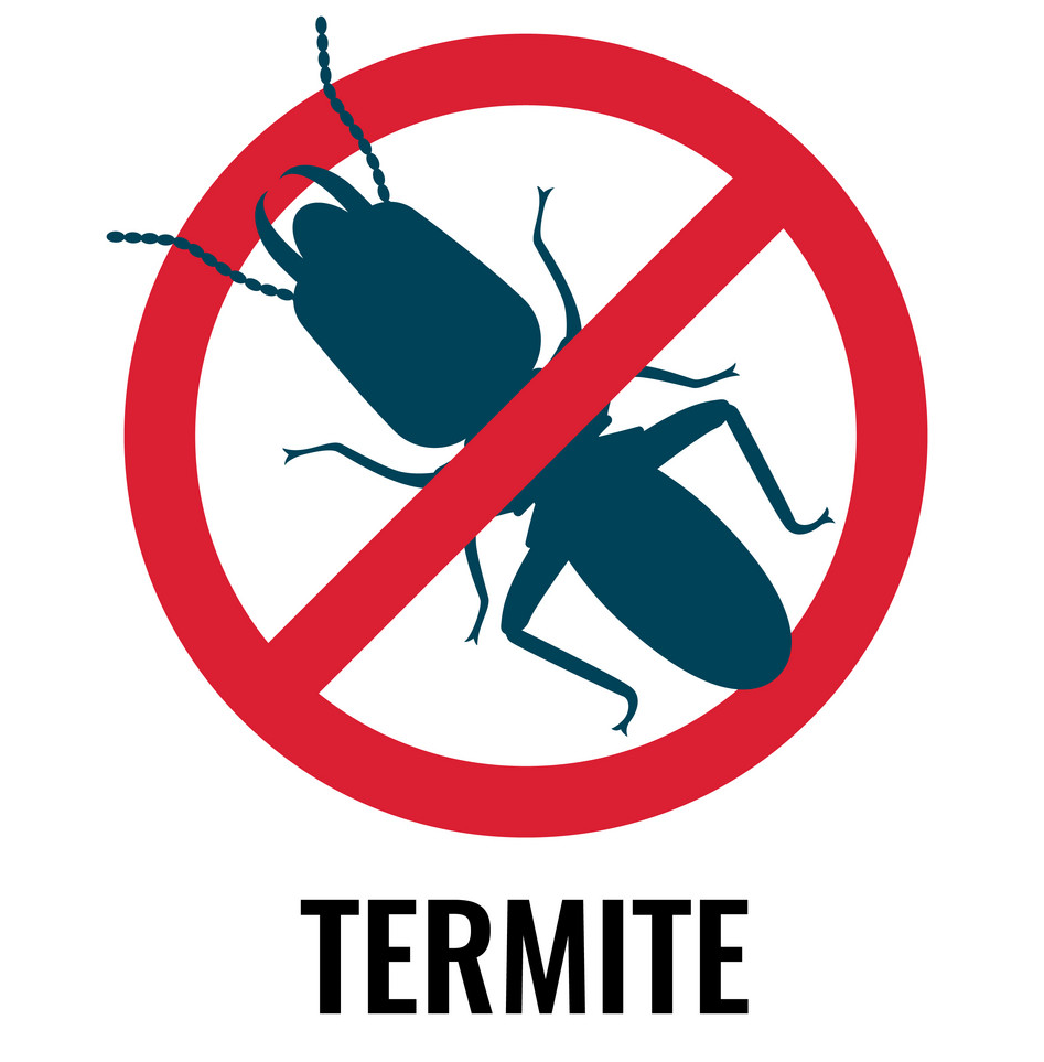 Chandigarh Pest Control Best Pest Control Services in Chandigarh Tricity