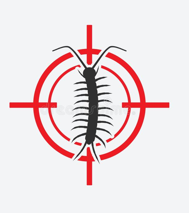 Chandigarh Pest Control Best Pest Control Services in Chandigarh Tricity