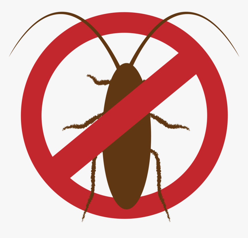 Chandigarh Pest Control Best Pest Control Services in Chandigarh Tricity