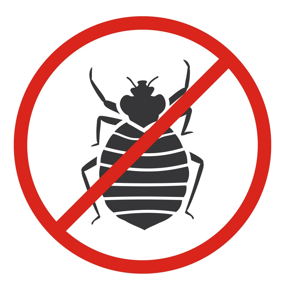 Chandigarh Pest Control Best Pest Control Services in Chandigarh Tricity